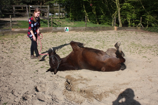 8 ans d'équitation..♥ - Page 6 Img_6767-3df4c0c
